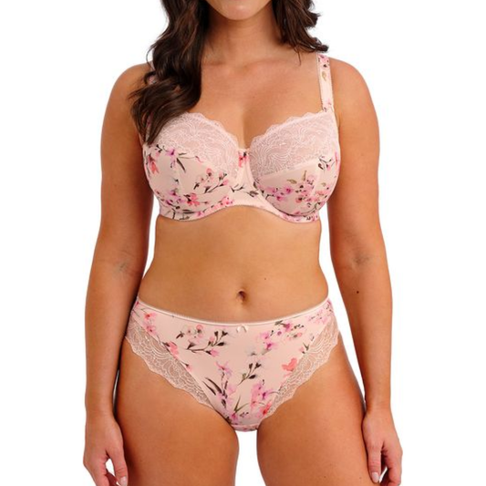 Lucia Brief