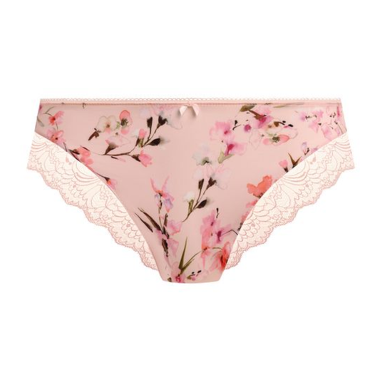 Lucia Brief