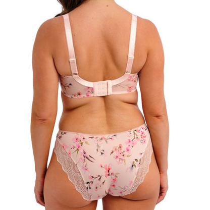 Lucia Brief