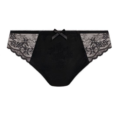 Quinn Brief