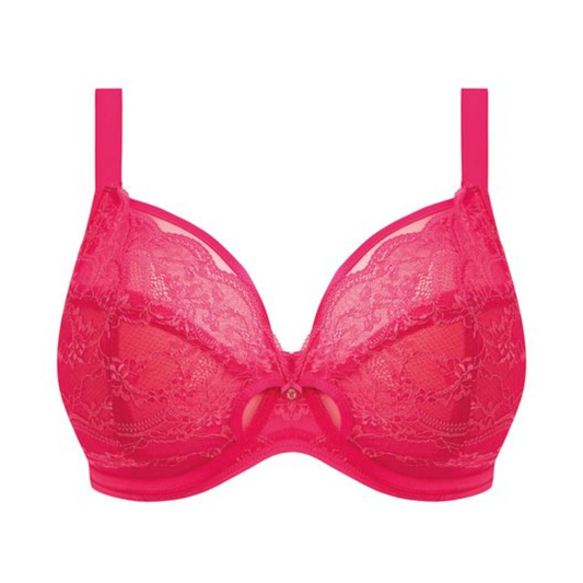 Darcie Plunge Bra