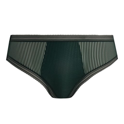 Fusion Brief Evergreen