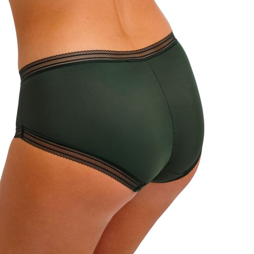 Fusion Brief Evergreen