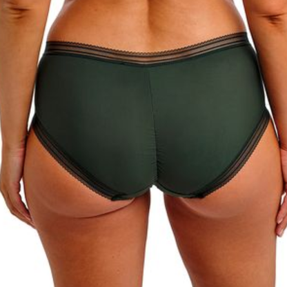Fusion Brief Evergreen