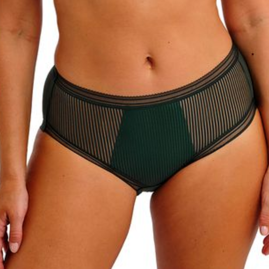 Fusion Brief Evergreen
