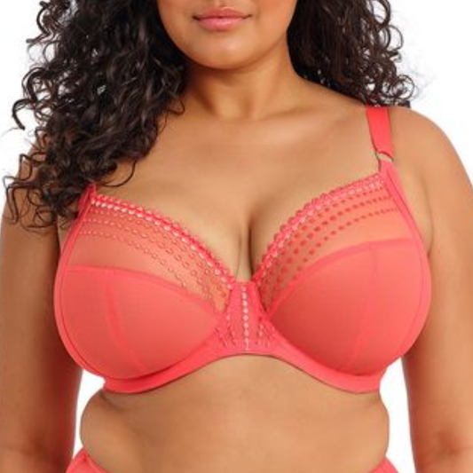 Matilda Plunge Bra
