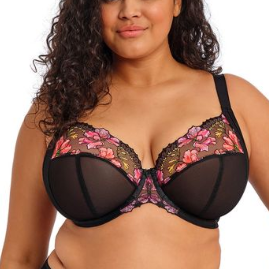 Teagan Plunge Bra