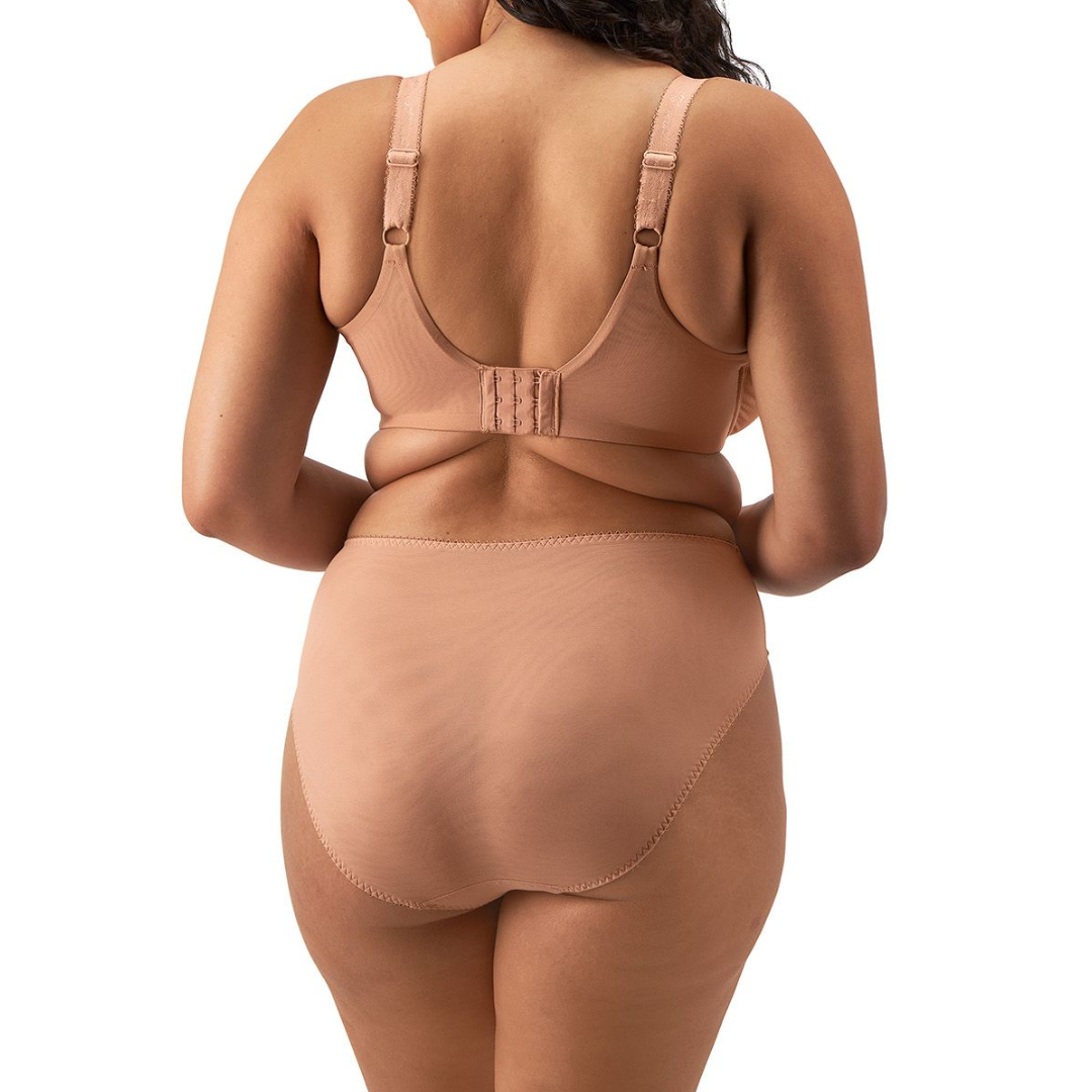 Elomi Zarla High Leg Brief