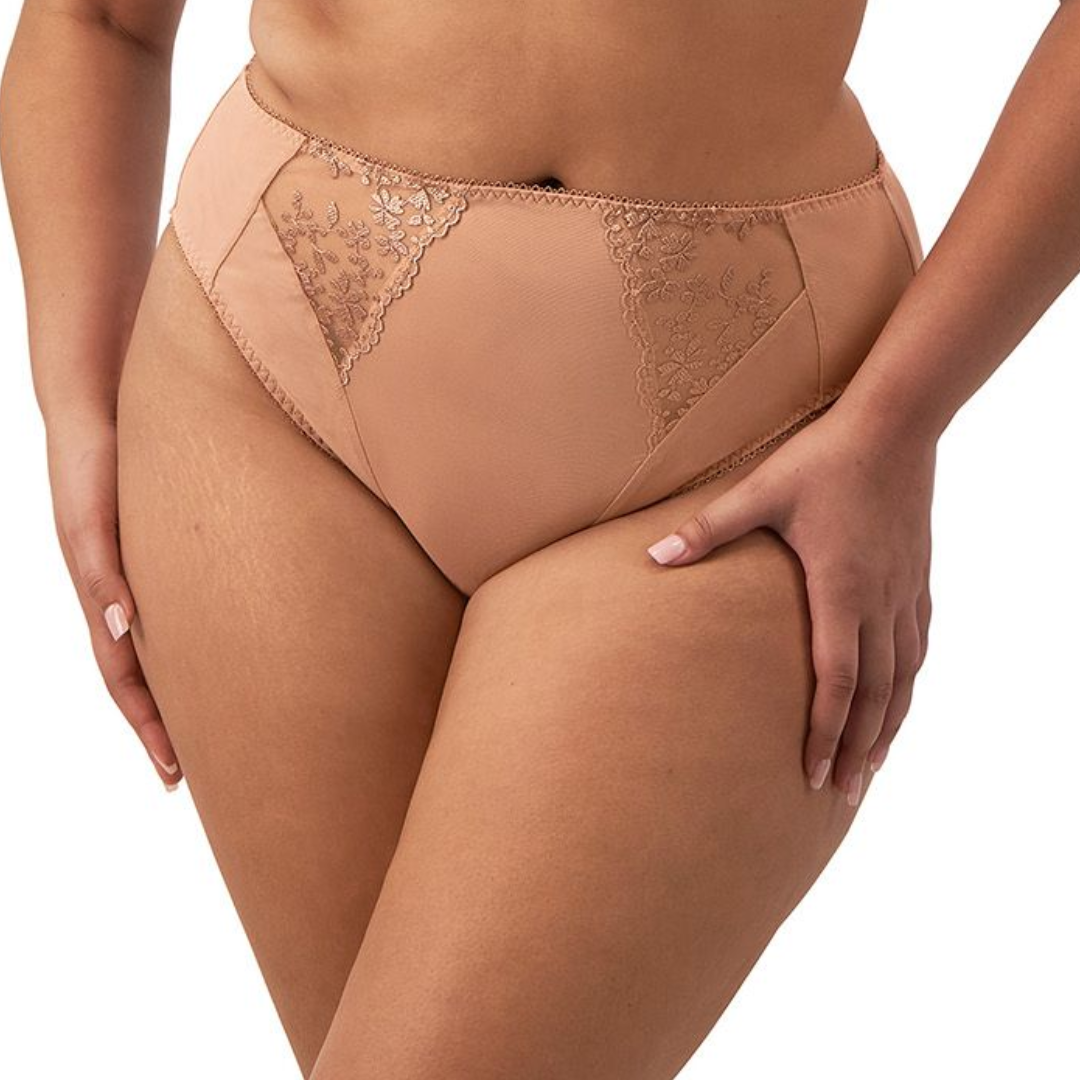 Elomi Zarla High Leg Brief