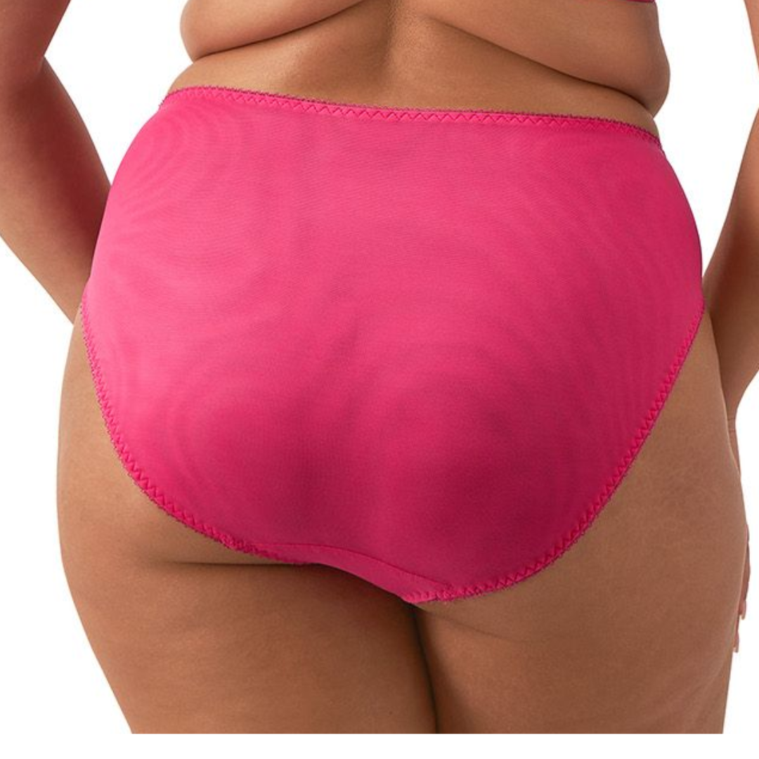 Elomi Zarla High Leg Brief