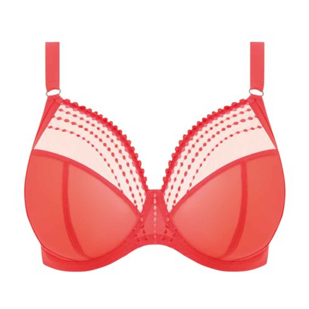 Matilda Plunge Bra