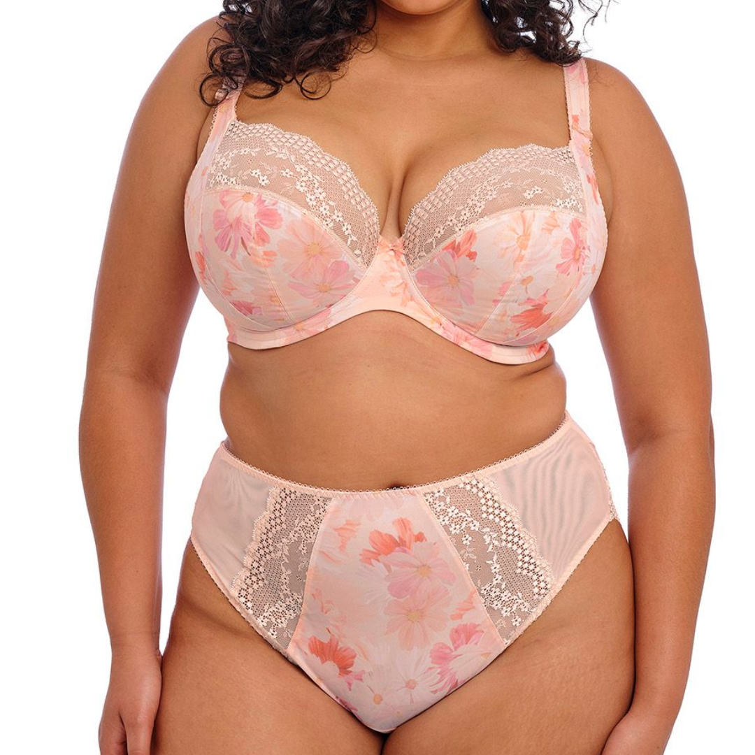 Lucie High Leg Brief