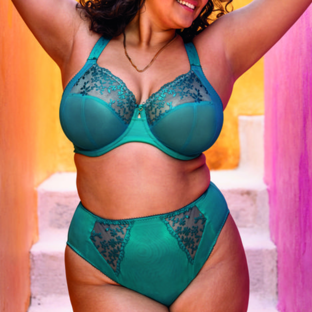 Elomi Zarla High Leg Brief