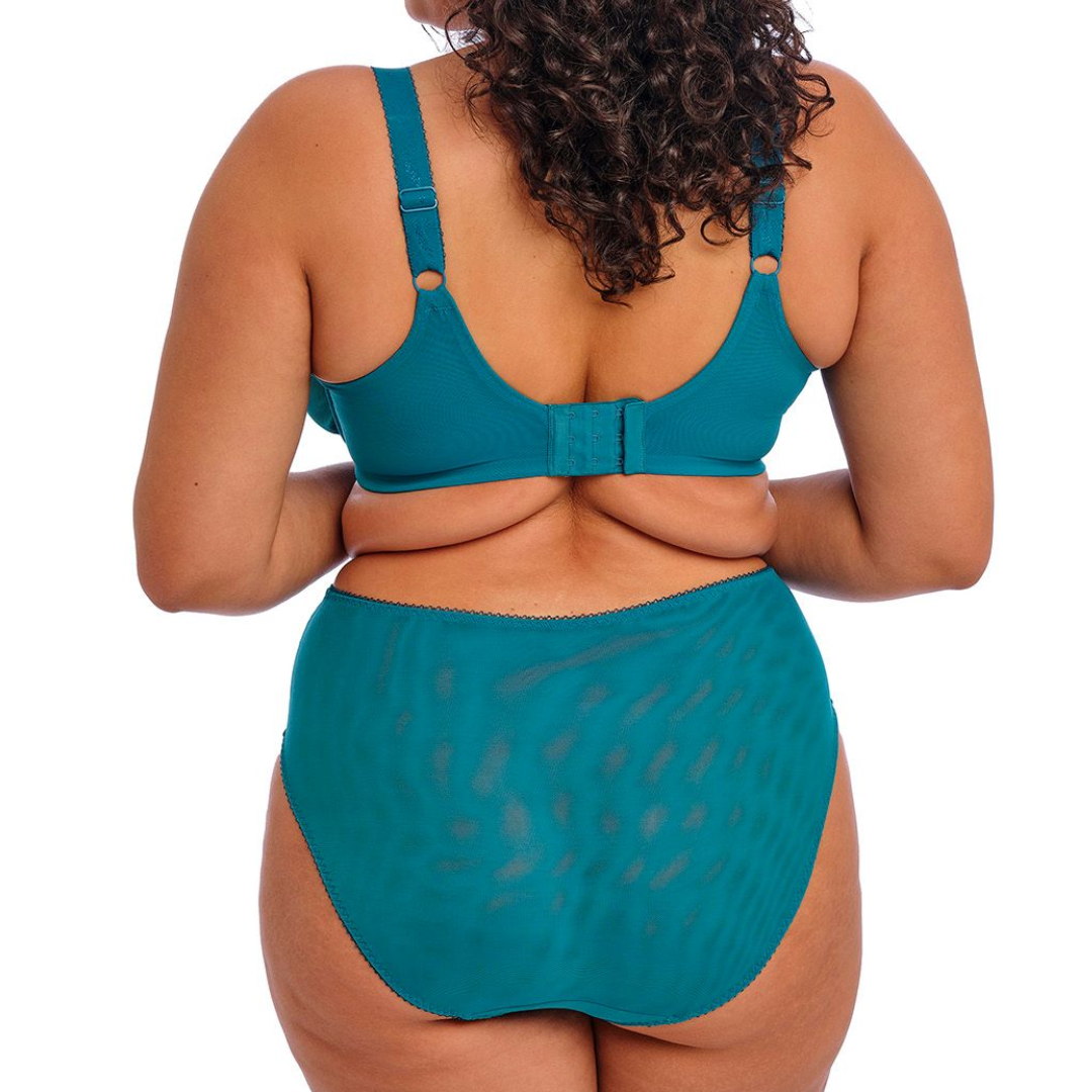 Elomi Zarla High Leg Brief