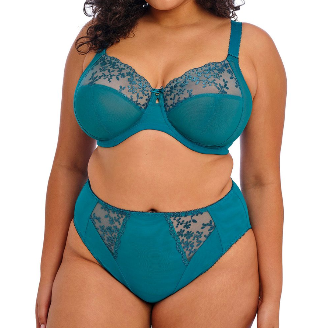 Elomi Zarla High Leg Brief