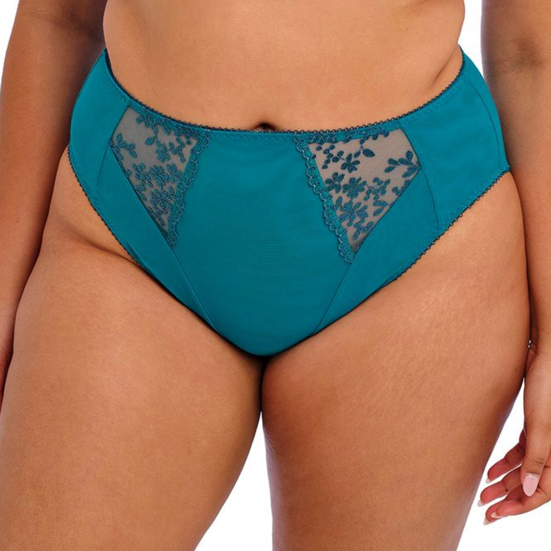 Elomi Zarla High Leg Brief