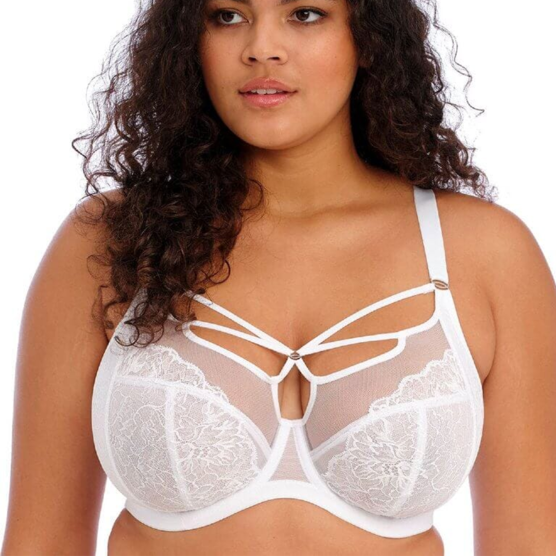 Brianna Plunge Bra