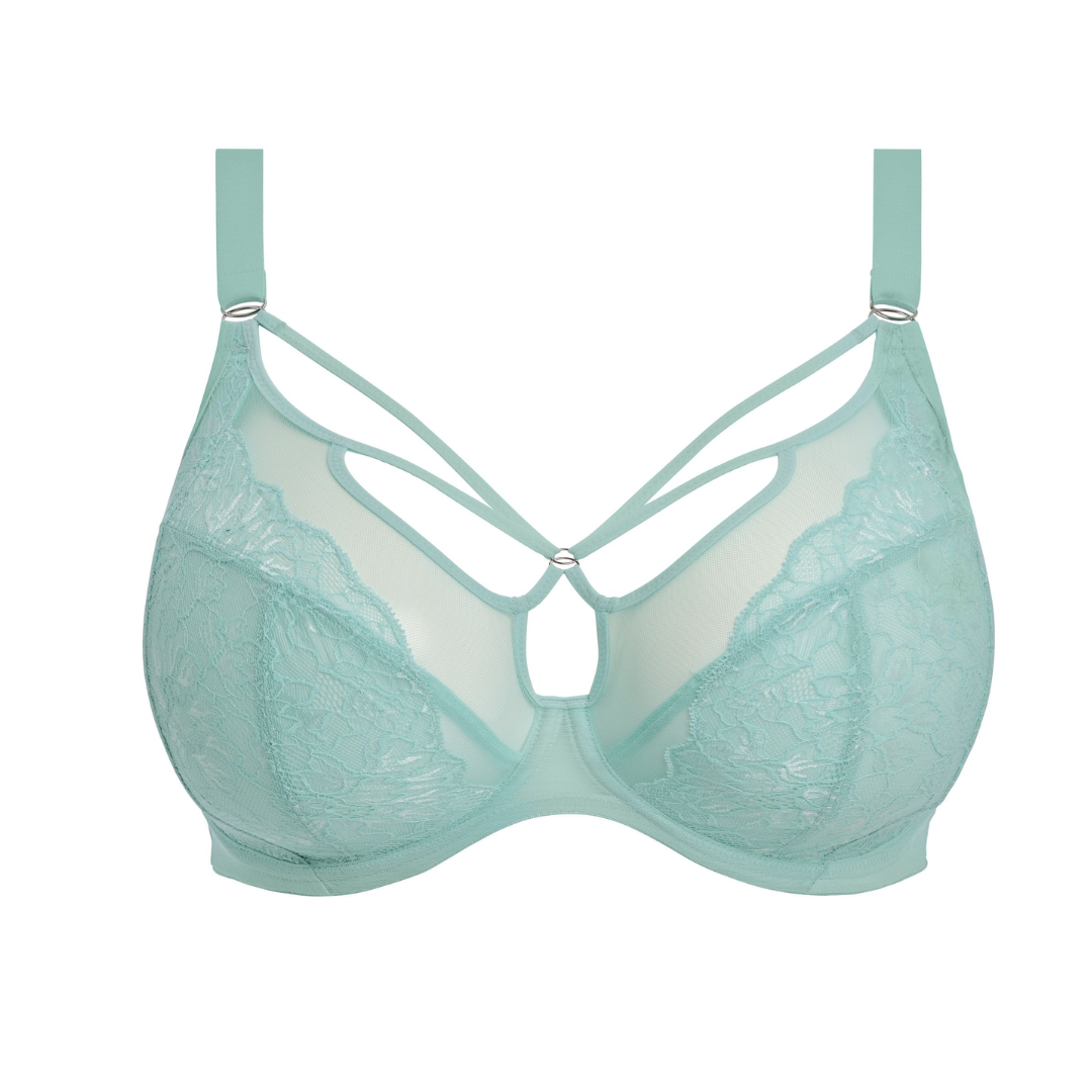 Brianna Plunge Bra