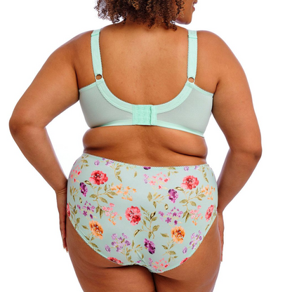 Goddess Kayla Brief