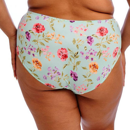 Goddess Kayla Brief