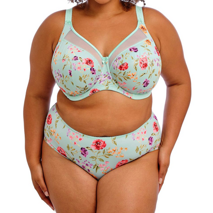 Goddess Kayla Brief