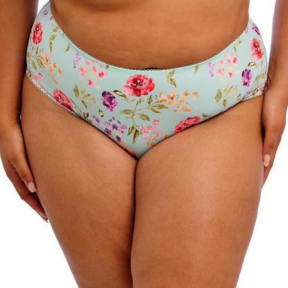 Goddess Kayla Brief
