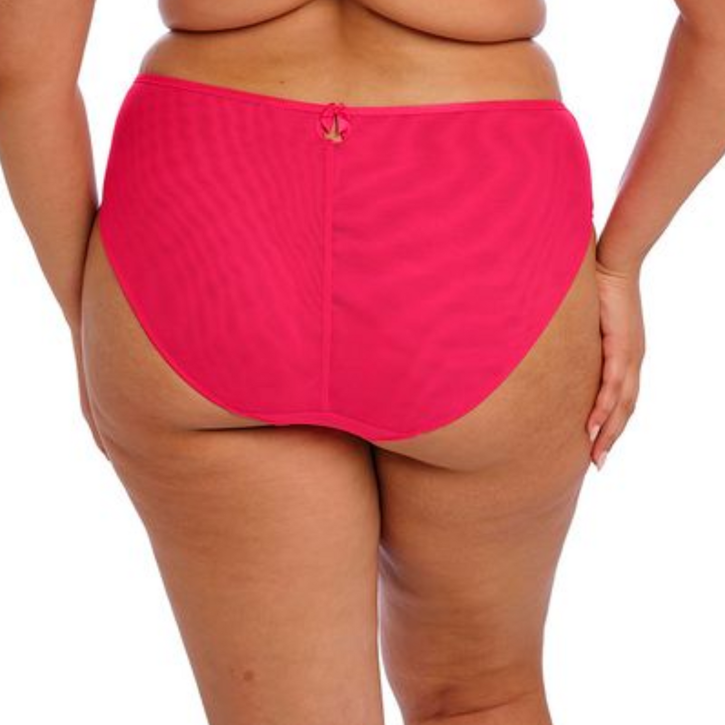 Teagan High Leg Brief