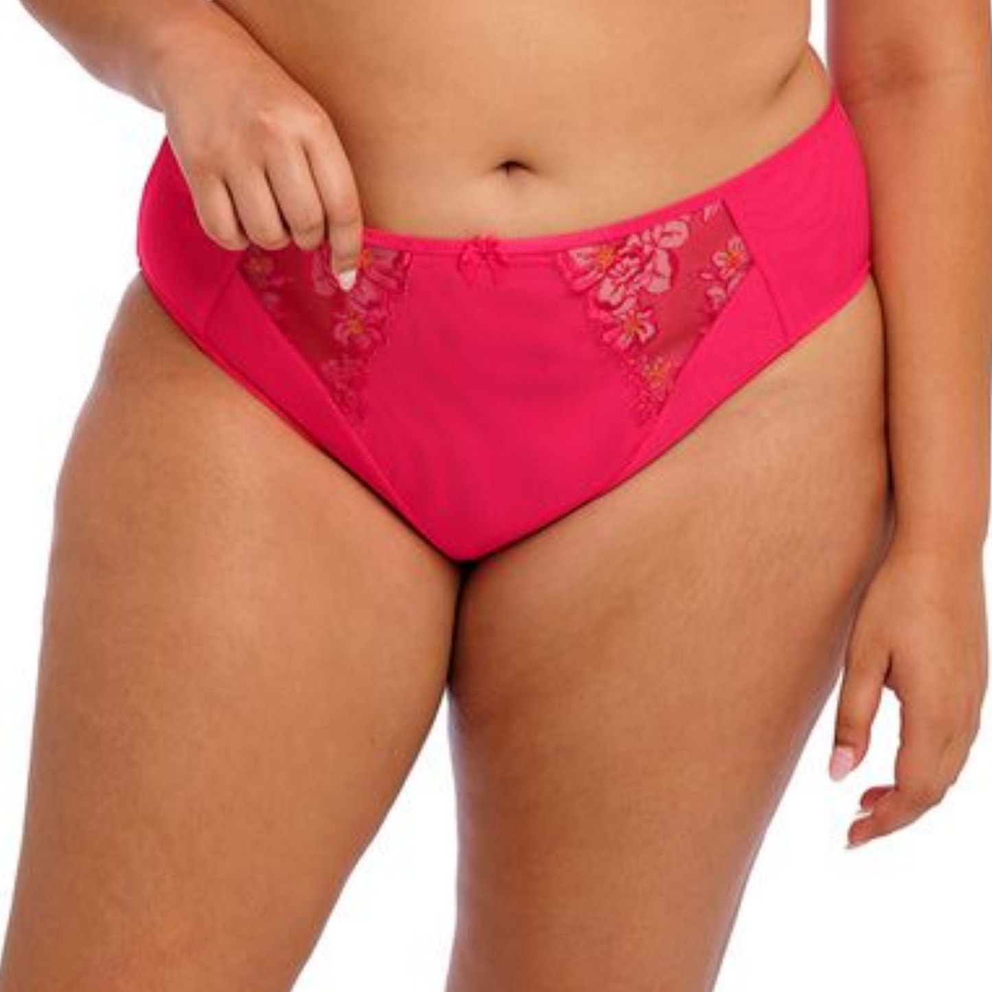 Teagan High Leg Brief