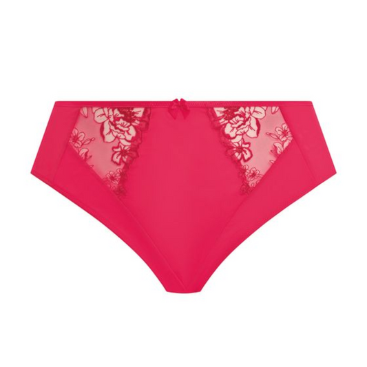 Teagan High Leg Brief