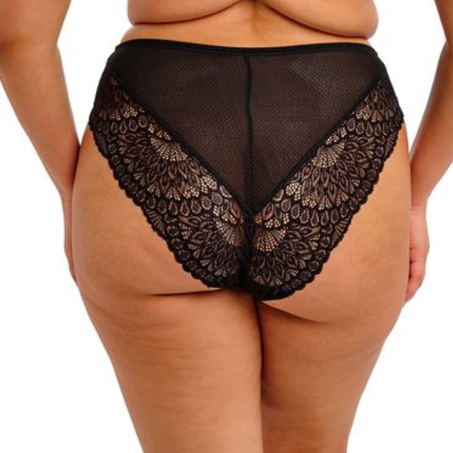 Tiernie Brief