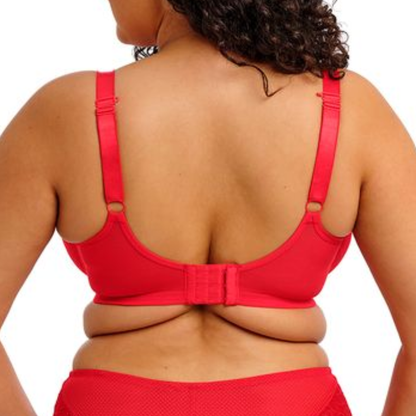 Tiernie Stretch Plunge Bra