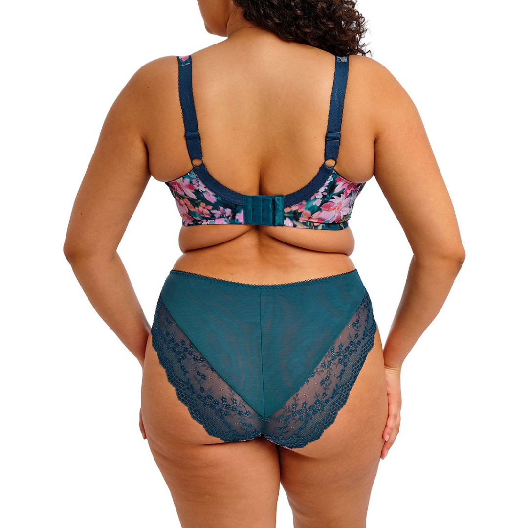 Lucie High Leg Brief