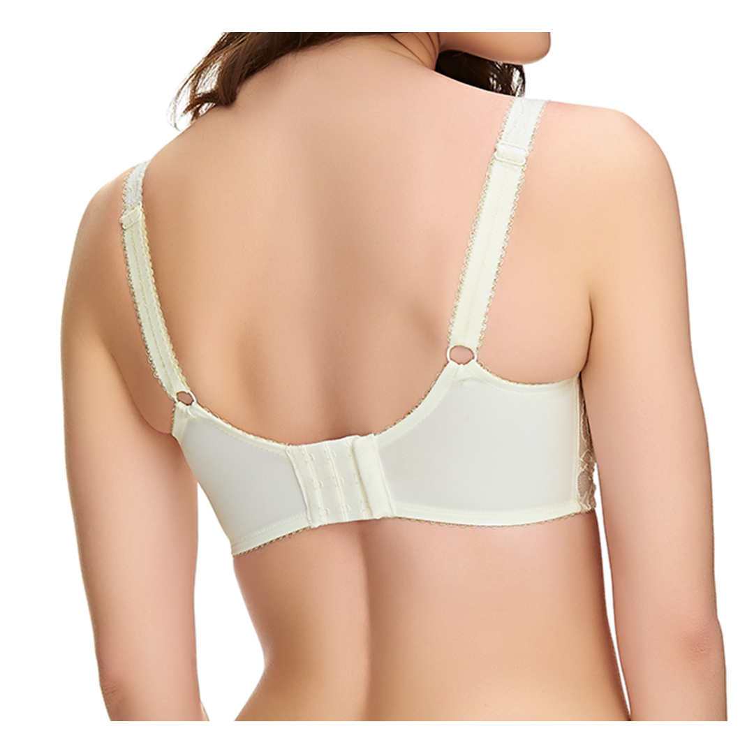 Fantasie Jacqueline Lace Soft Cup Bra