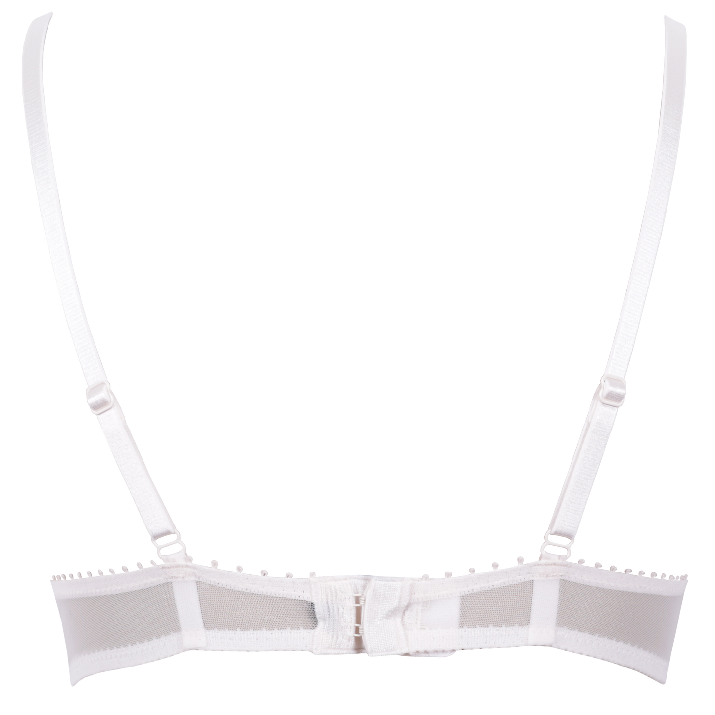 Passionata White Nights Push Up Bra